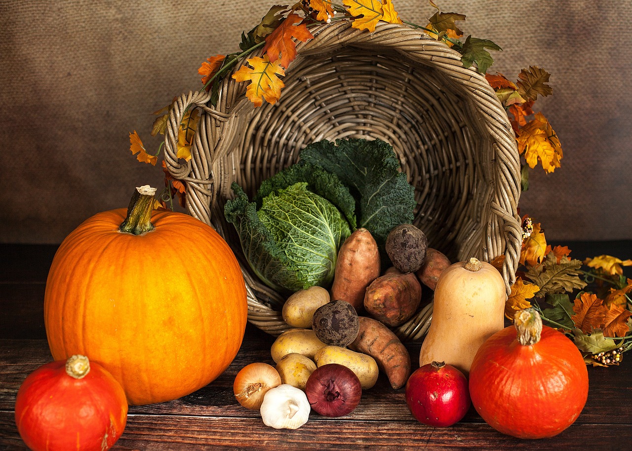 Herbstdekoration für das eigene Zuhause