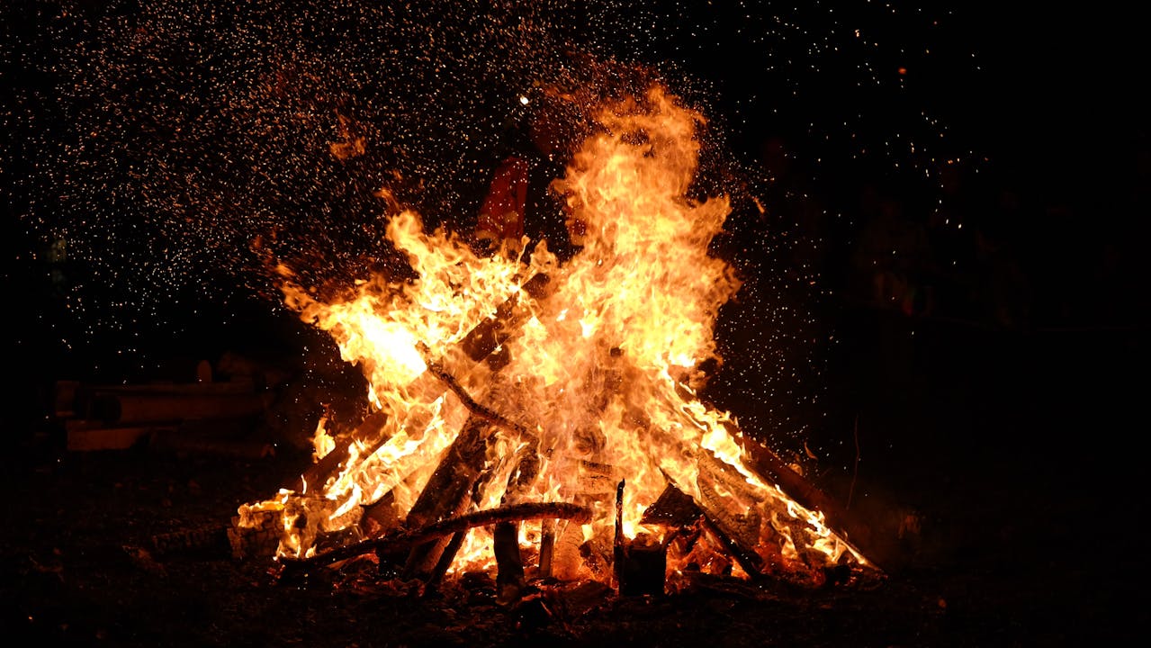 Die besten Holzarten zum Heizen: Brennwert im Vergleich