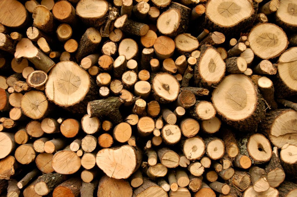 Kaminholz richtig lagern – So bleibt Dein Brennholz trocken und effizient Kaminholz richtig lagern – So bleibt Dein Brennholz trocken und effizient