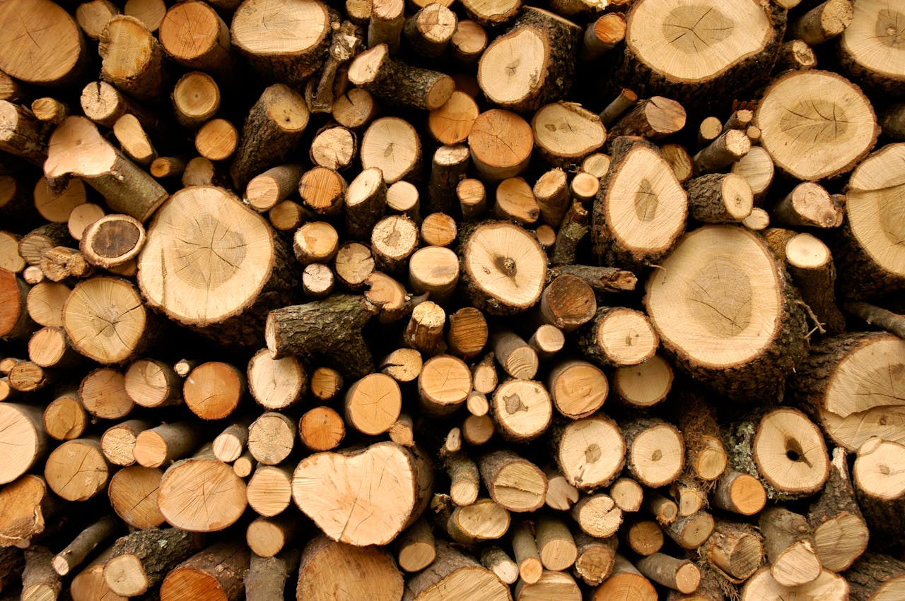 Kaminholz richtig lagern – So bleibt Dein Brennholz trocken und effizient